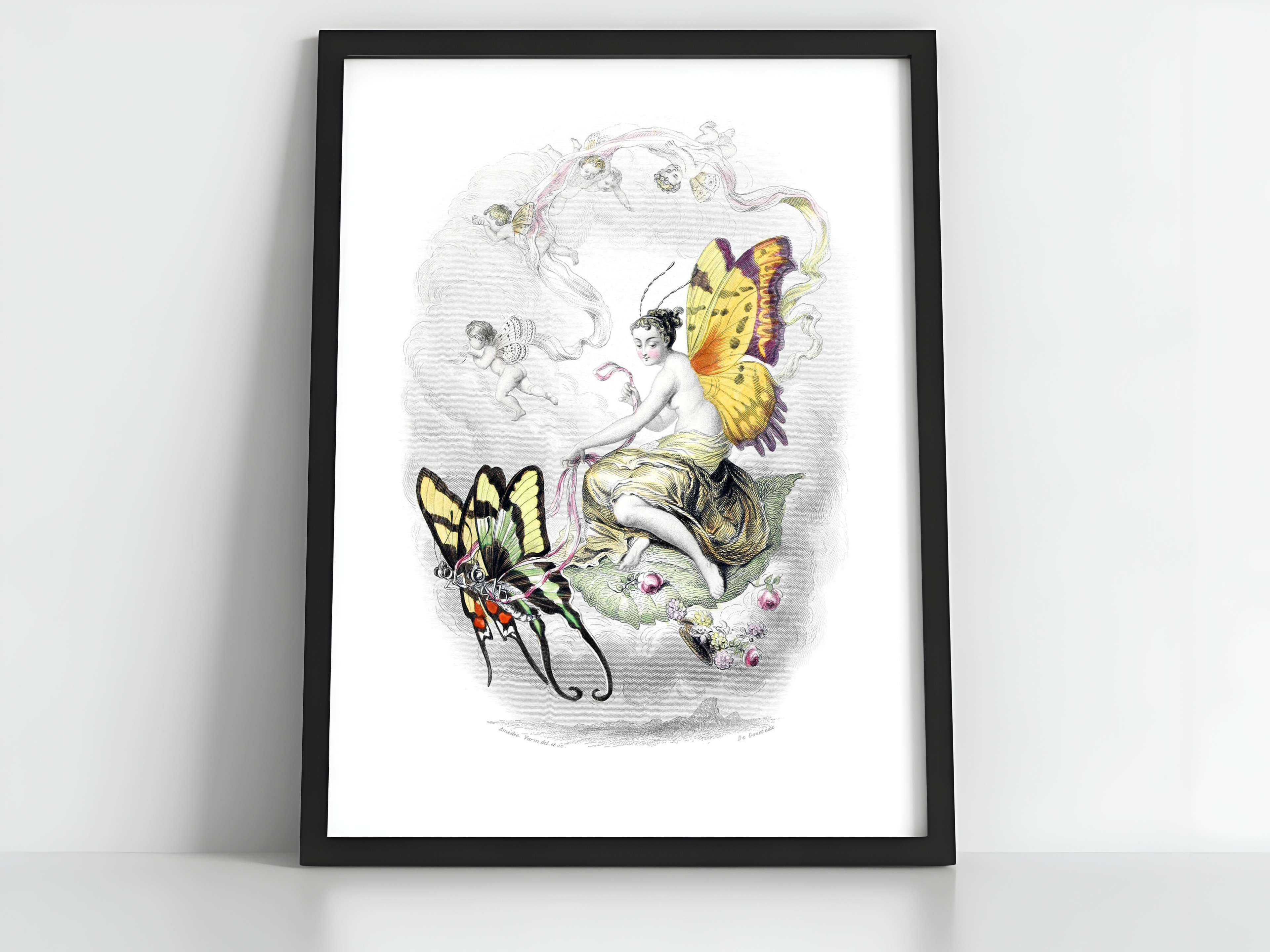 The Abduction of Cypris