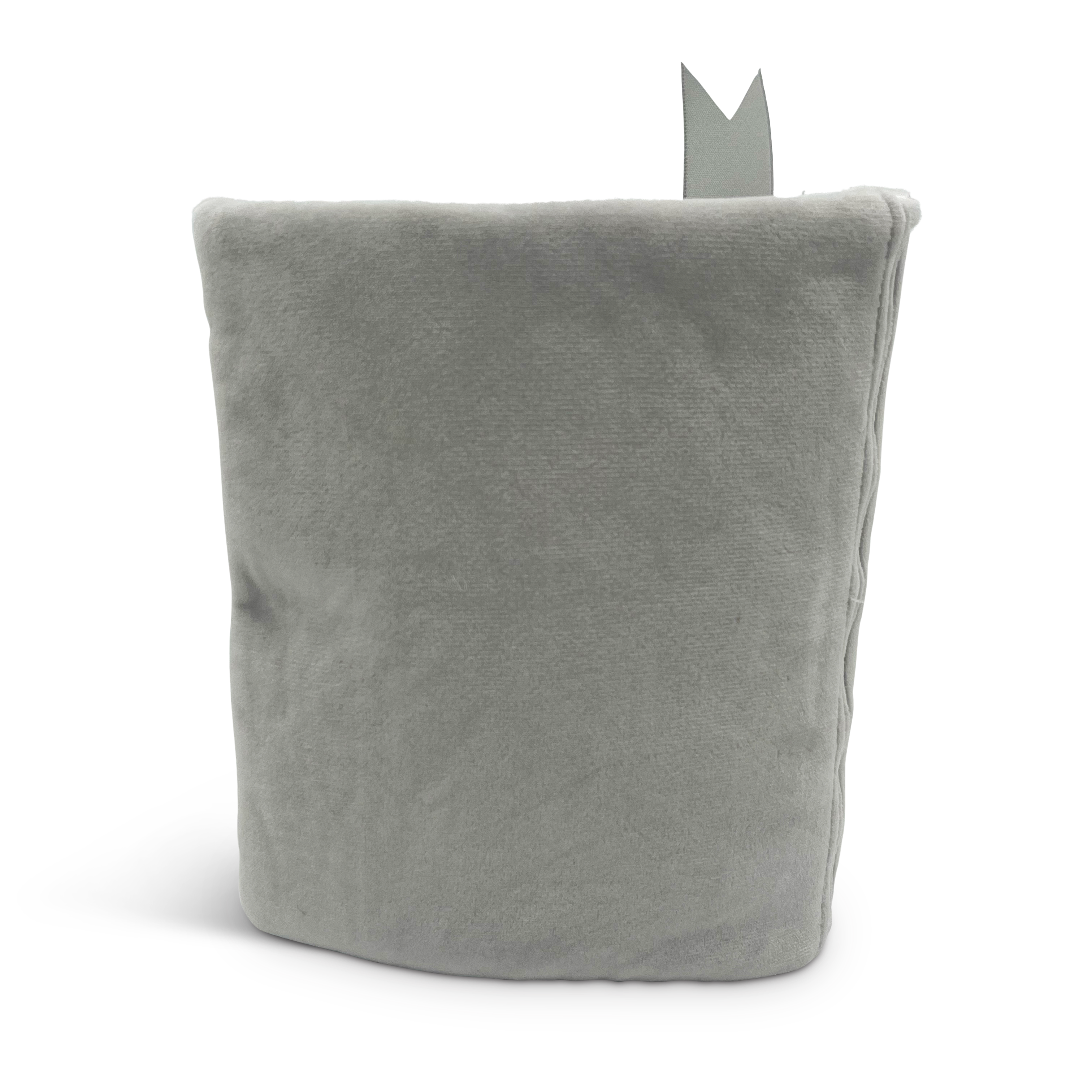 "I Like My Main Characters Morally Grey" Book Plush